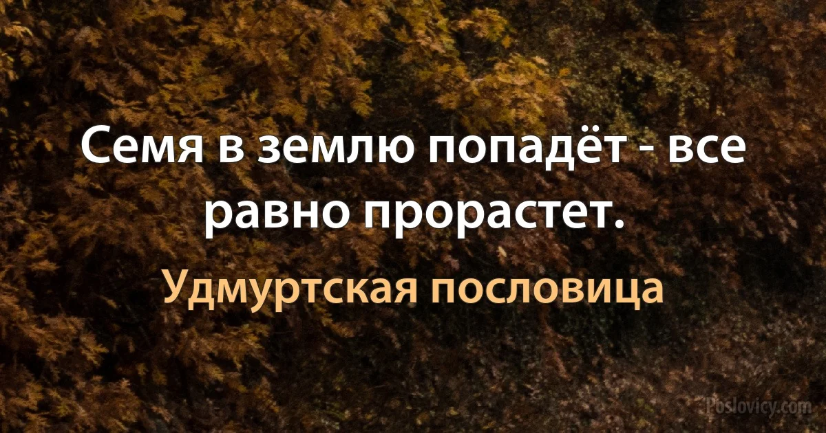 Семя в землю попадёт - все равно прорастет. (Удмуртская пословица)