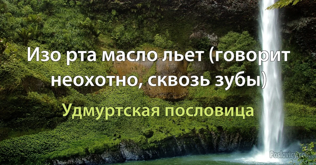 Изо рта масло льет (говорит неохотно, сквозь зубы) (Удмуртская пословица)