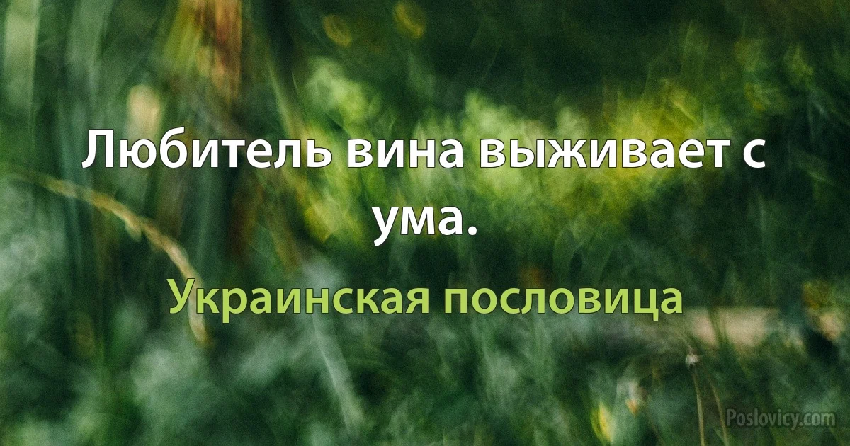 Любитель вина выживает с ума. (Украинская пословица)