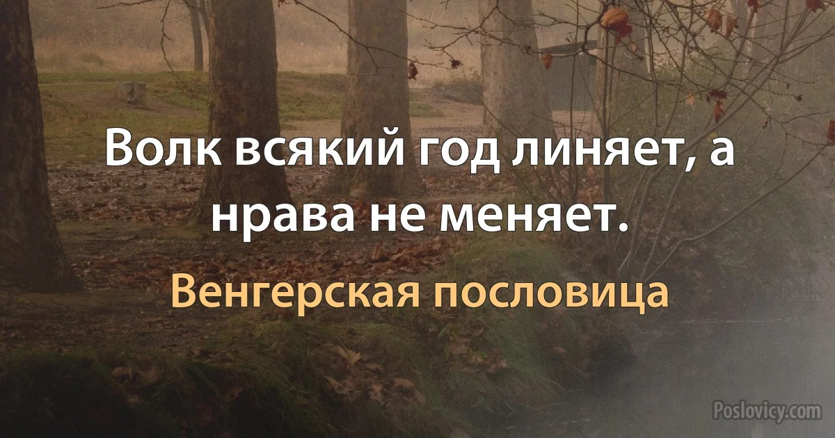 Волк всякий год линяет, а нрава не меняет. (Венгерская пословица)