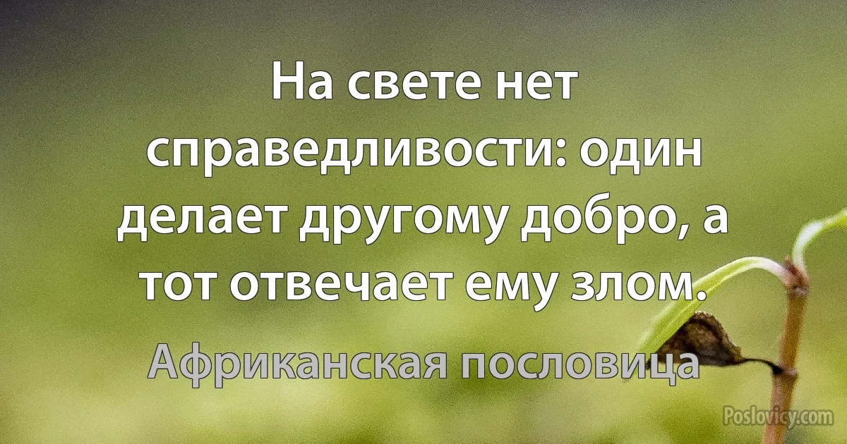 На свете нет справедливости: один делает другому добро, а тот отвечает ему злом. (Африканская пословица)