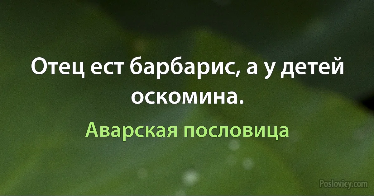 Отец ест барбарис, а у детей оскомина. (Аварская пословица)