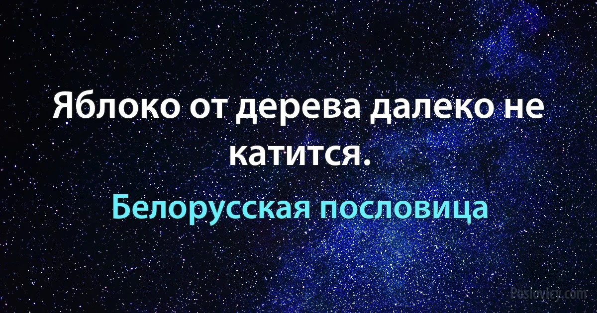 Яблоко от дерева далеко не катится. (Белорусская пословица)