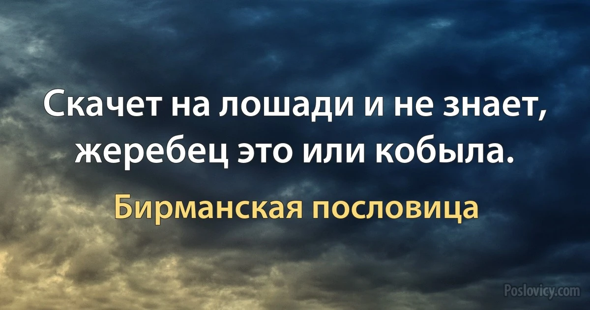 Скачет на лошади и не знает, жеребец это или кобыла. (Бирманская пословица)