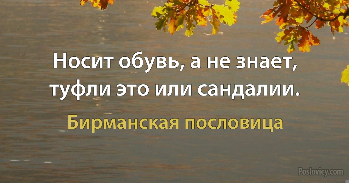 Носит обувь, а не знает, туфли это или сандалии. (Бирманская пословица)