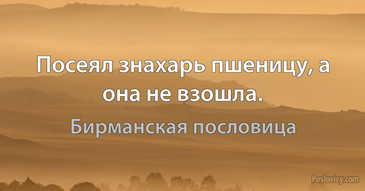 Посеял знахарь пшеницу, а она не взошла. (Бирманская пословица)