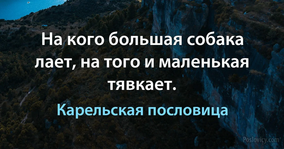 На кого большая собака лает, на того и маленькая тявкает. (Карельская пословица)