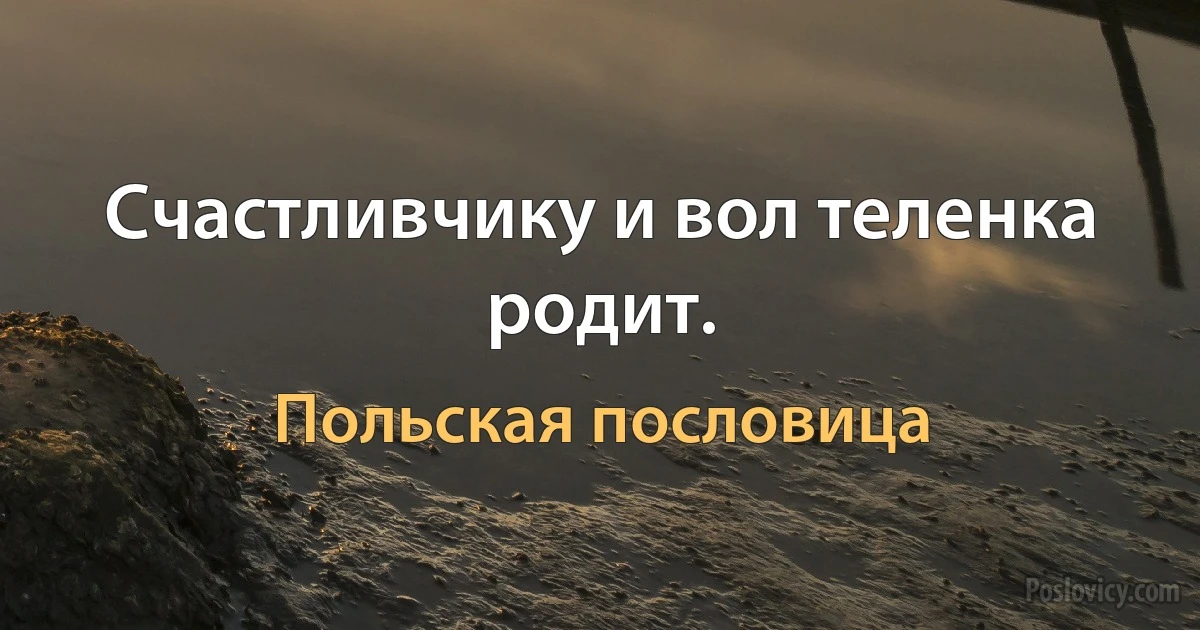 Счастливчику и вол теленка родит. (Польская пословица)