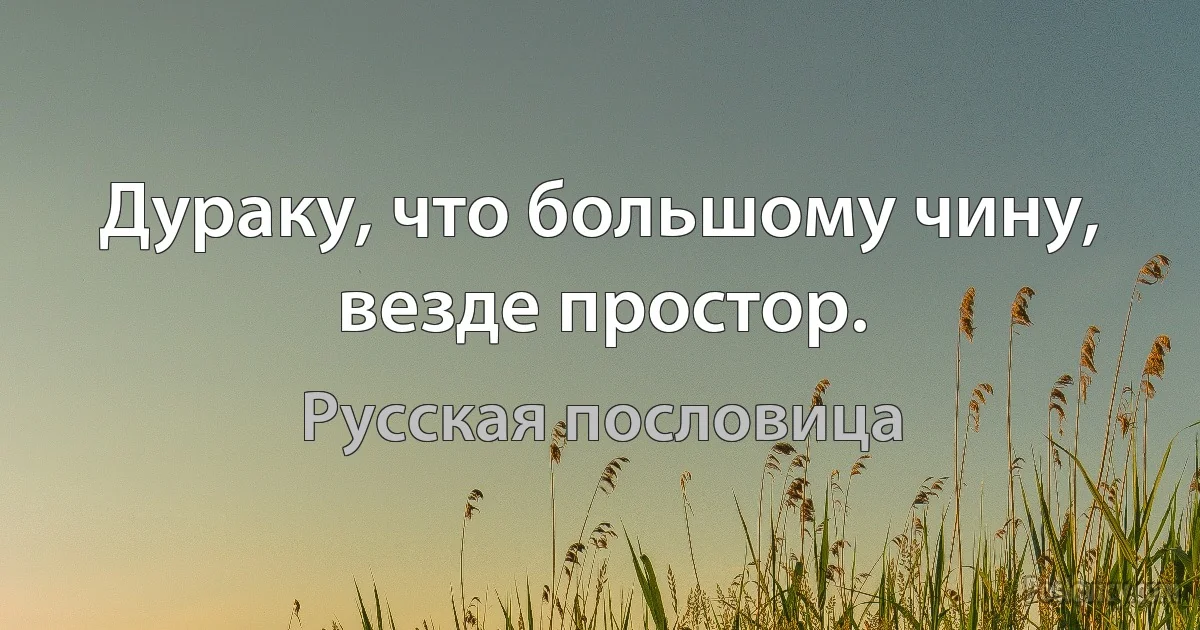 Дураку, что большому чину, везде простор. (Русская пословица)