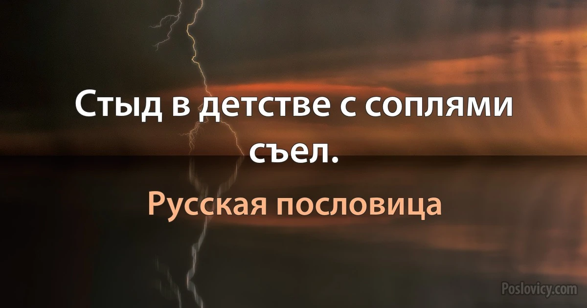 Стыд в детстве с соплями съел. (Русская пословица)