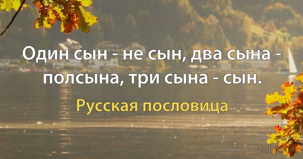 Один сын - не сын, два сына - полсына, три сына - сын. (Русская пословица)