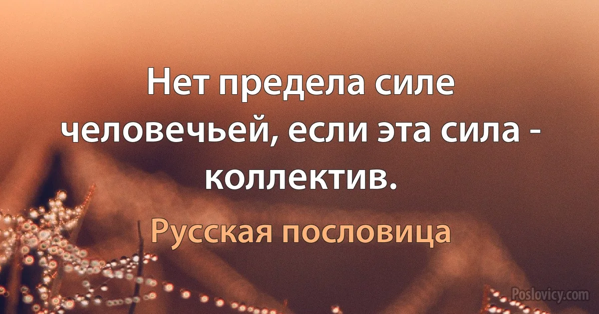 Нет предела силе человечьей, если эта сила - коллектив. (Русская пословица)