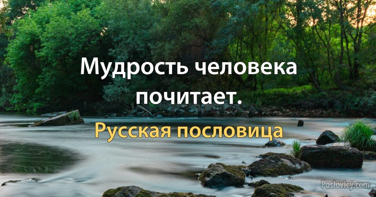 Мудрость человека почитает. (Русская пословица)