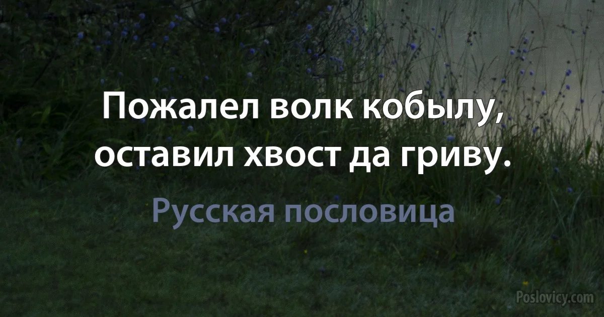 Пожалел волк кобылу, оставил хвост да гриву. (Русская пословица)