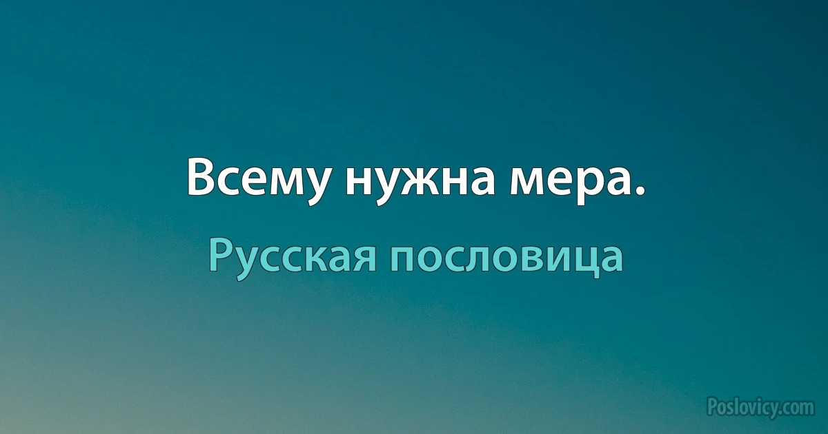 Всему нужна мера. (Русская пословица)