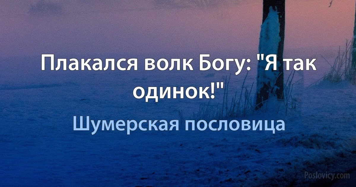 Плакался волк Богу: "Я так одинок!" (Шумерская пословица)