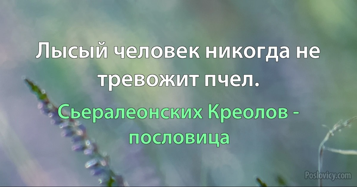 Лысый человек никогда не тревожит пчел. (Сьералеонских Креолов - пословица)