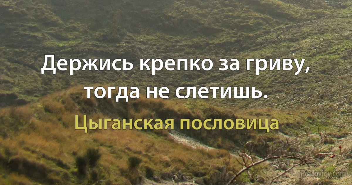 Держись крепко за гриву, тогда не слетишь. (Цыганская пословица)