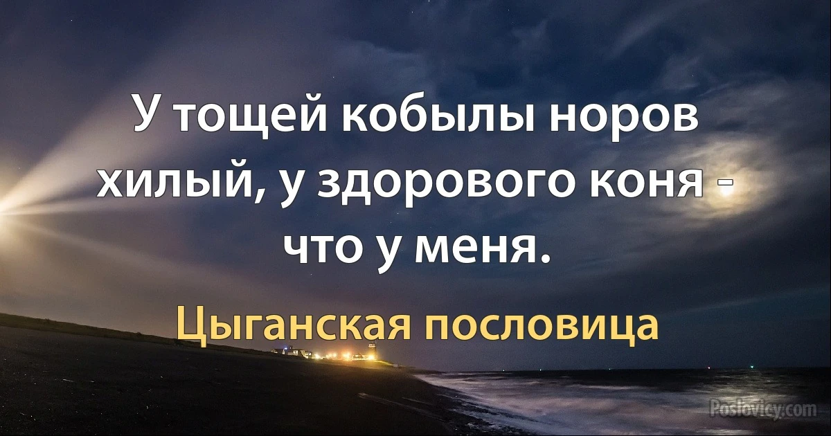 У тощей кобылы норов хилый, у здорового коня - что у меня. (Цыганская пословица)