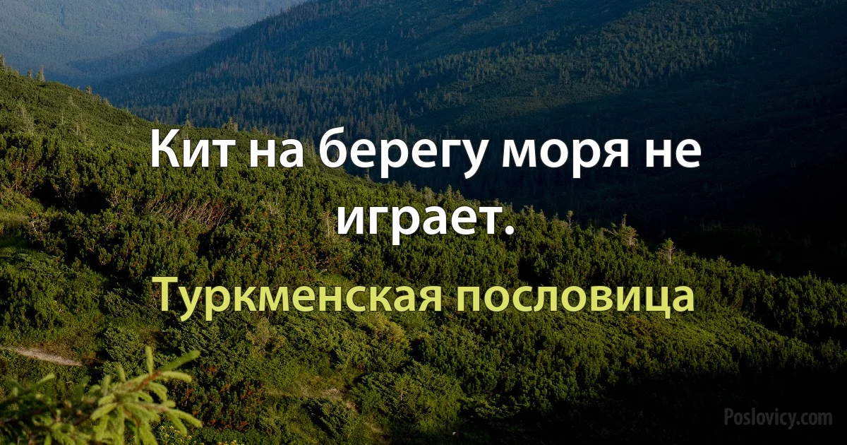 Кит на берегу моря не играет. (Туркменская пословица)