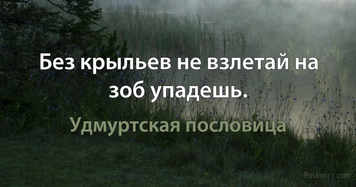 Без крыльев не взлетай на зоб упадешь. (Удмуртская пословица)