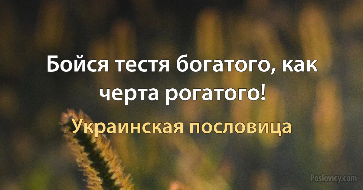 Бойся тестя богатого, как черта рогатого! (Украинская пословица)