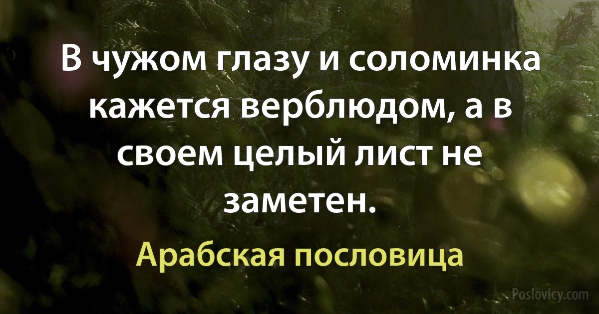 В чужом глазу и соломинка кажется верблюдом, а в своем целый лист не заметен. (Арабская пословица)