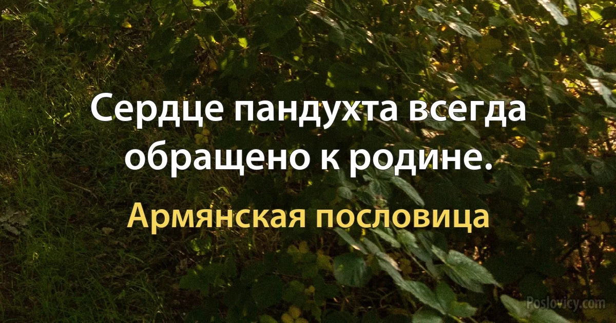 Сердце пандухта всегда обращено к родине. (Армянская пословица)