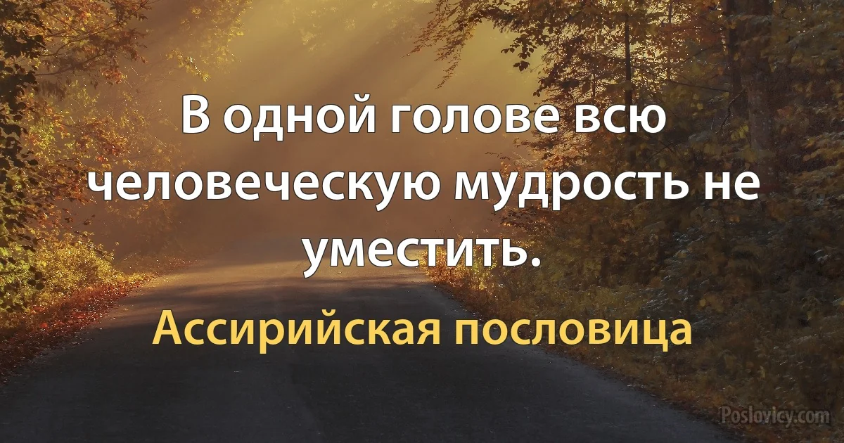 В одной голове всю человеческую мудрость не уместить. (Ассирийская пословица)