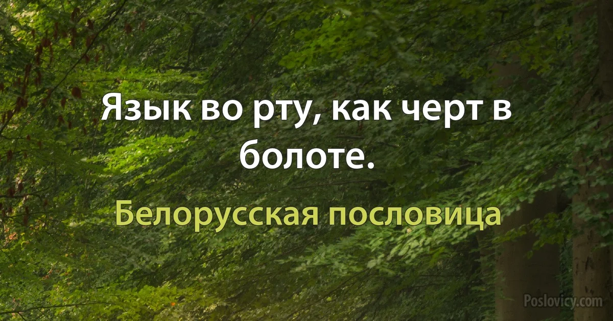 Язык во рту, как черт в болоте. (Белорусская пословица)