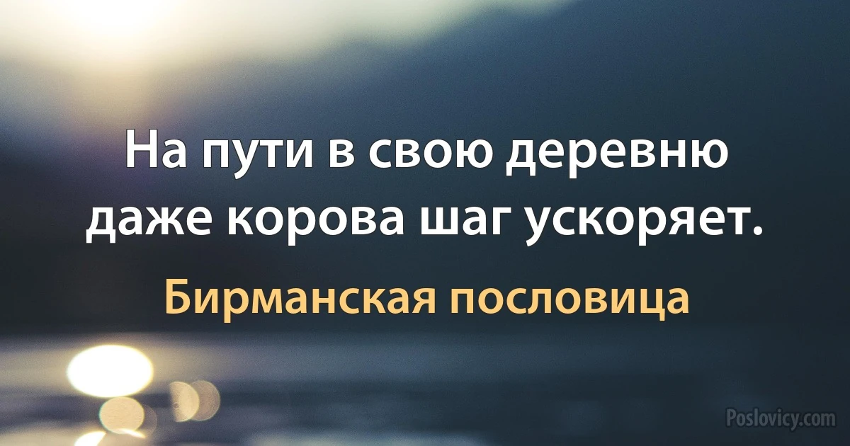 На пути в свою деревню даже корова шаг ускоряет. (Бирманская пословица)