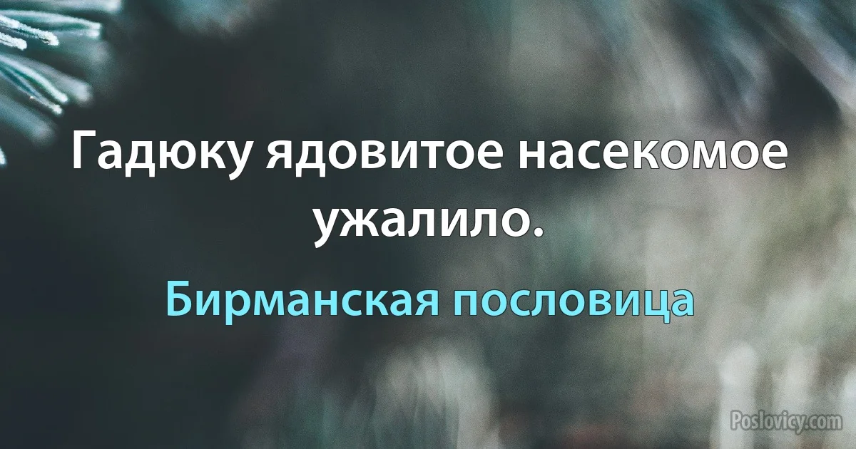 Гадюку ядовитое насекомое ужалило. (Бирманская пословица)