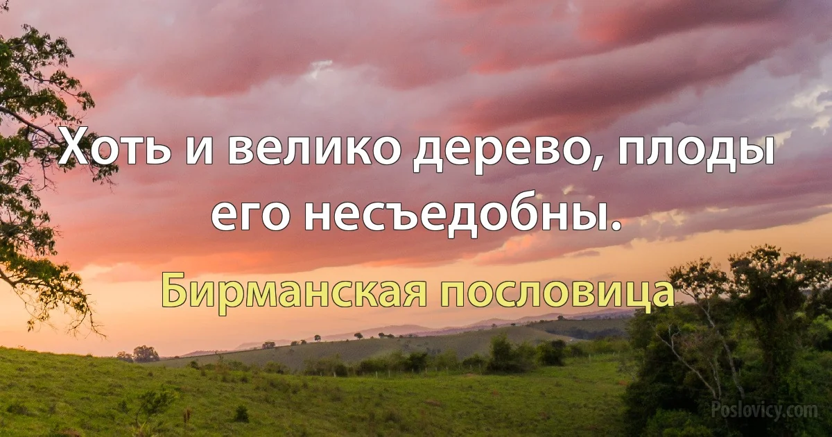 Хоть и велико дерево, плоды его несъедобны. (Бирманская пословица)