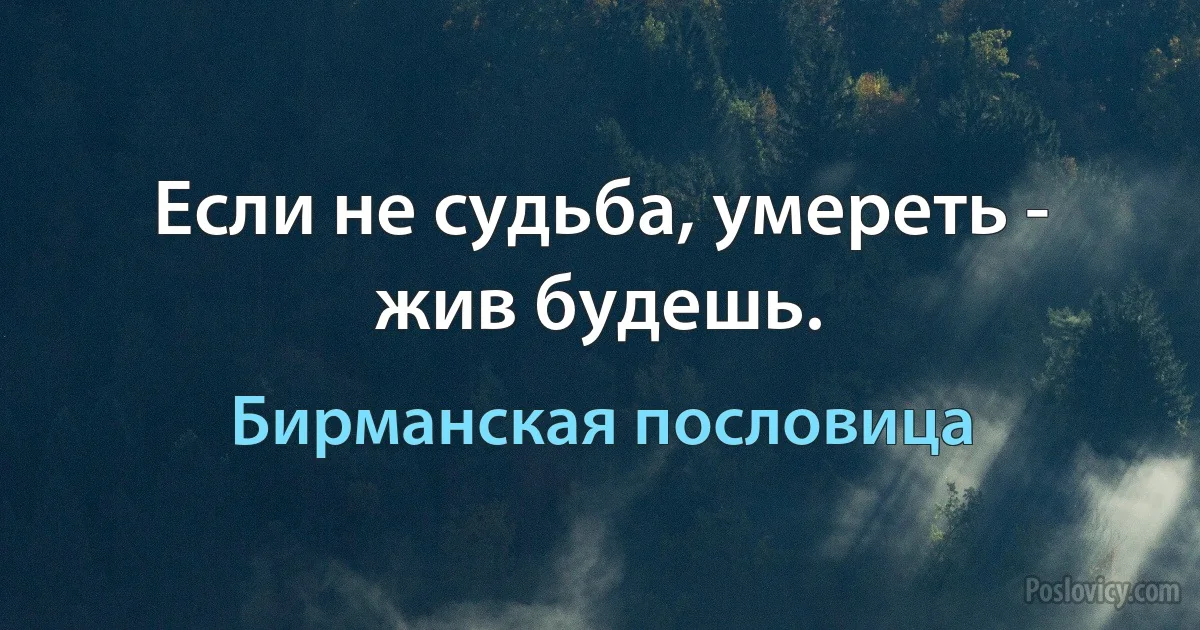 Если не судьба, умереть - жив будешь. (Бирманская пословица)