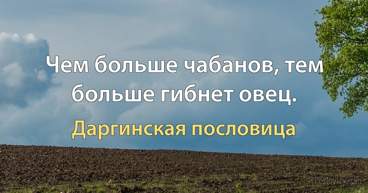 Чем больше чабанов, тем больше гибнет овец. (Даргинская пословица)