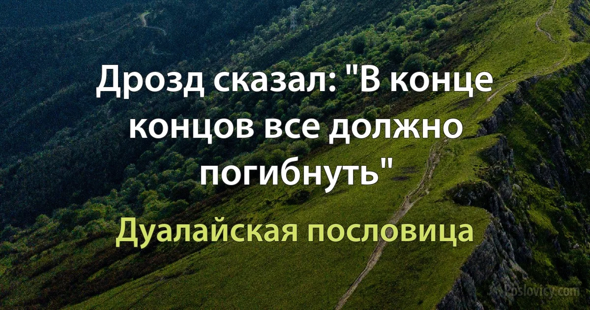 Дрозд сказал: "В конце концов все должно погибнуть" (Дуалайская пословица)