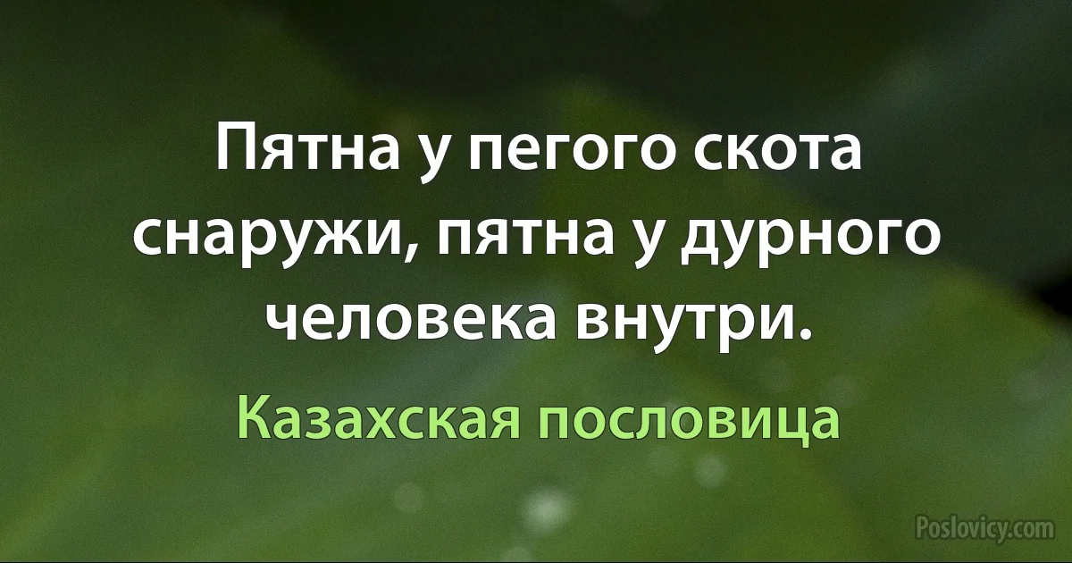 Пятна у пегого скота снаружи, пятна у дурного человека внутри. (Казахская пословица)