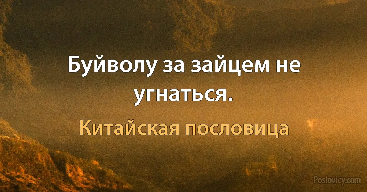 Буйволу за зайцем не угнаться. (Китайская пословица)