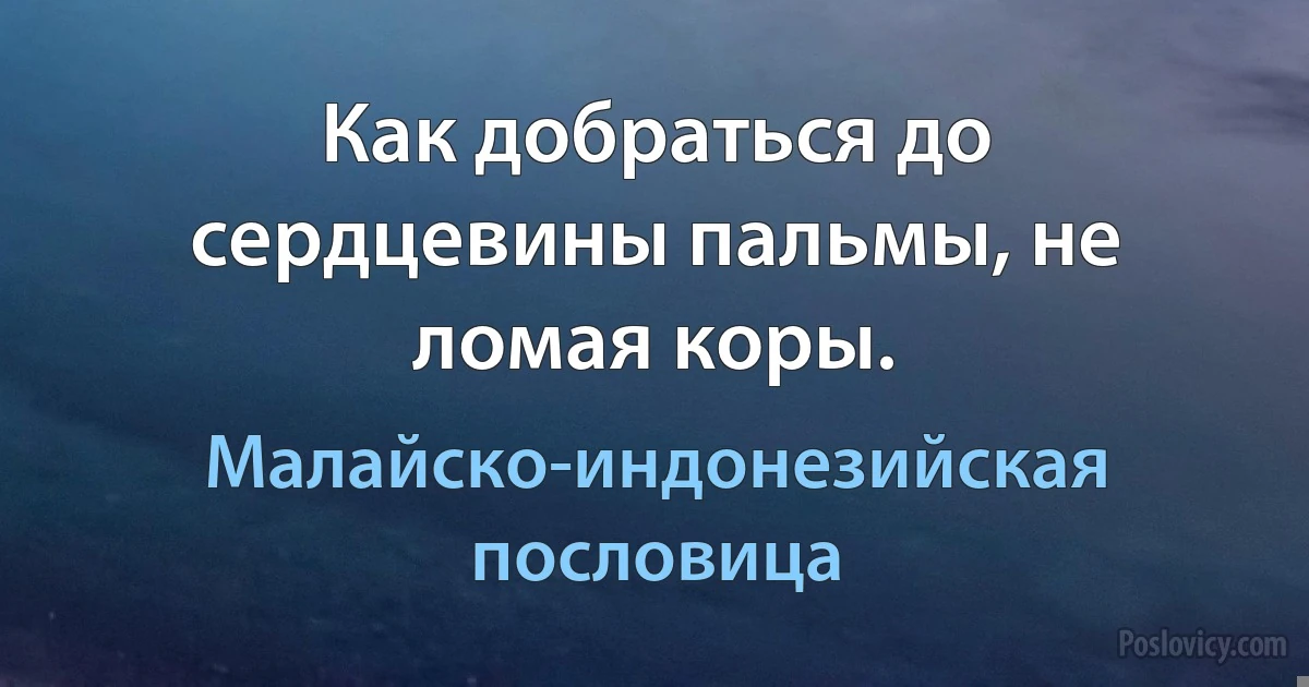 Как добраться до сердцевины пальмы, не ломая коры. (Малайско-индонезийская пословица)