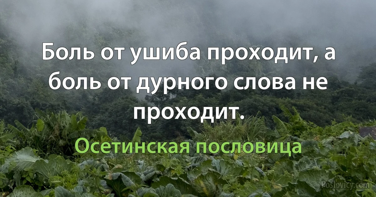 Боль от ушиба проходит, а боль от дурного слова не проходит. (Осетинская пословица)