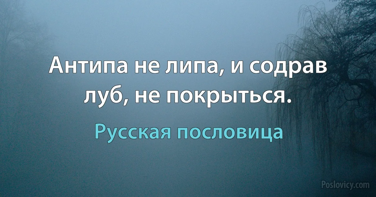 Антипа не липа, и содрав луб, не покрыться. (Русская пословица)