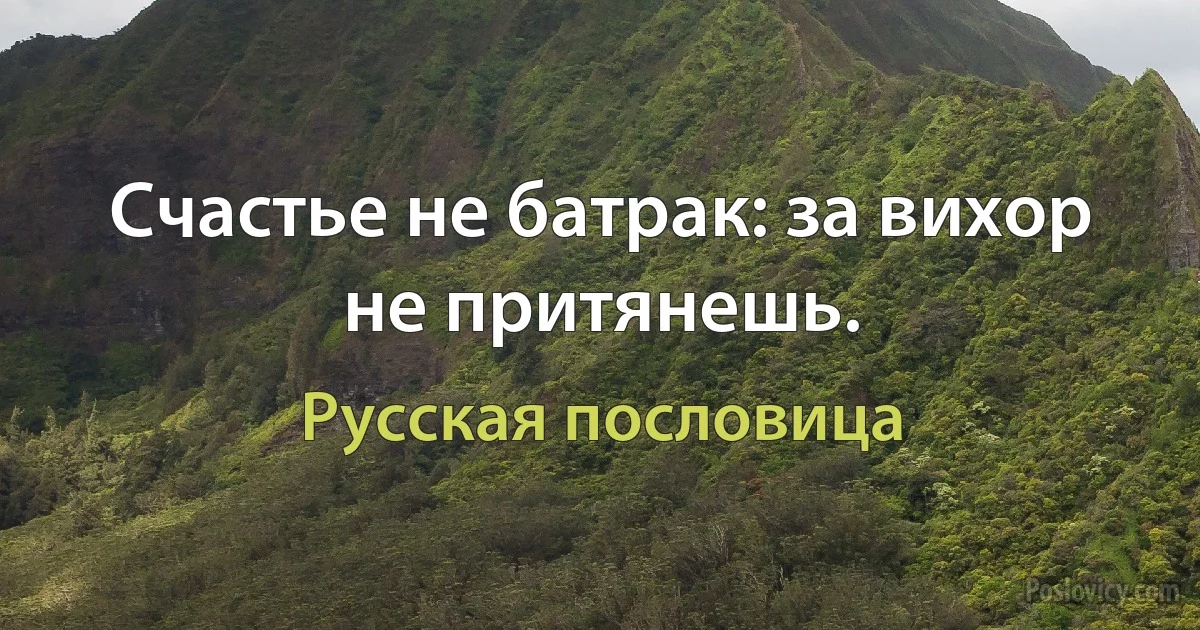 Счастье не батрак: за вихор не притянешь. (Русская пословица)