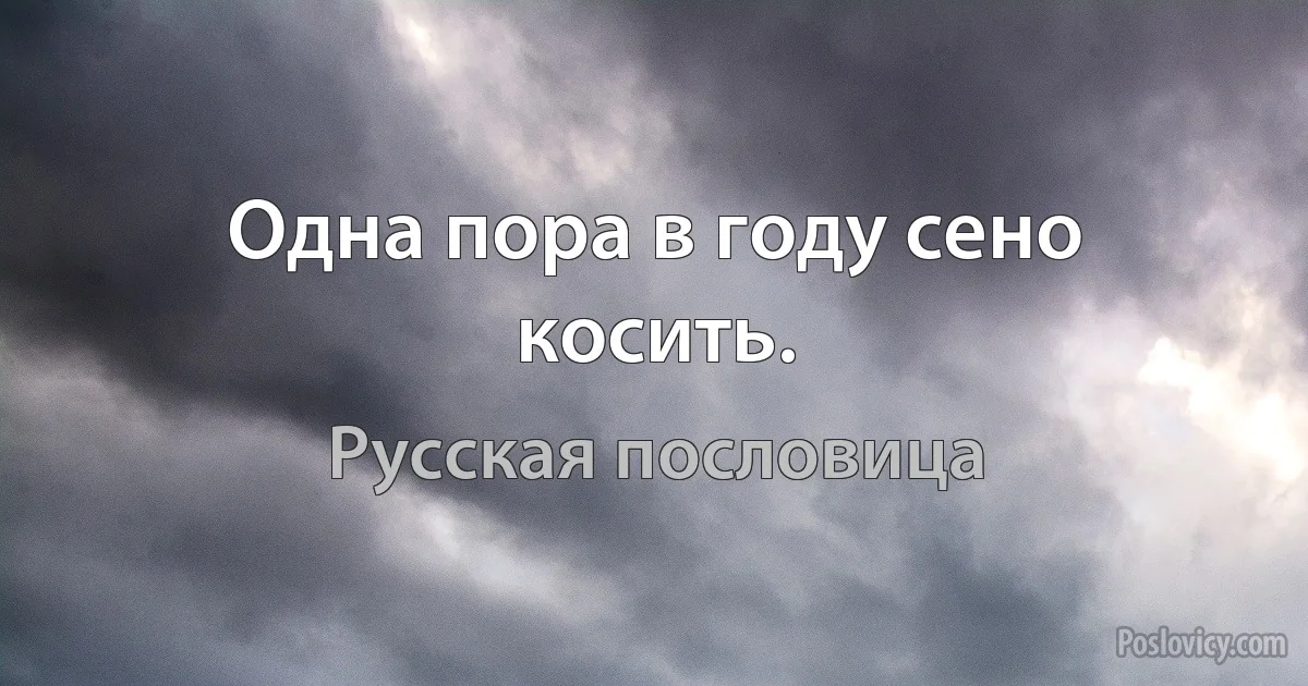 Одна пора в году сено косить. (Русская пословица)