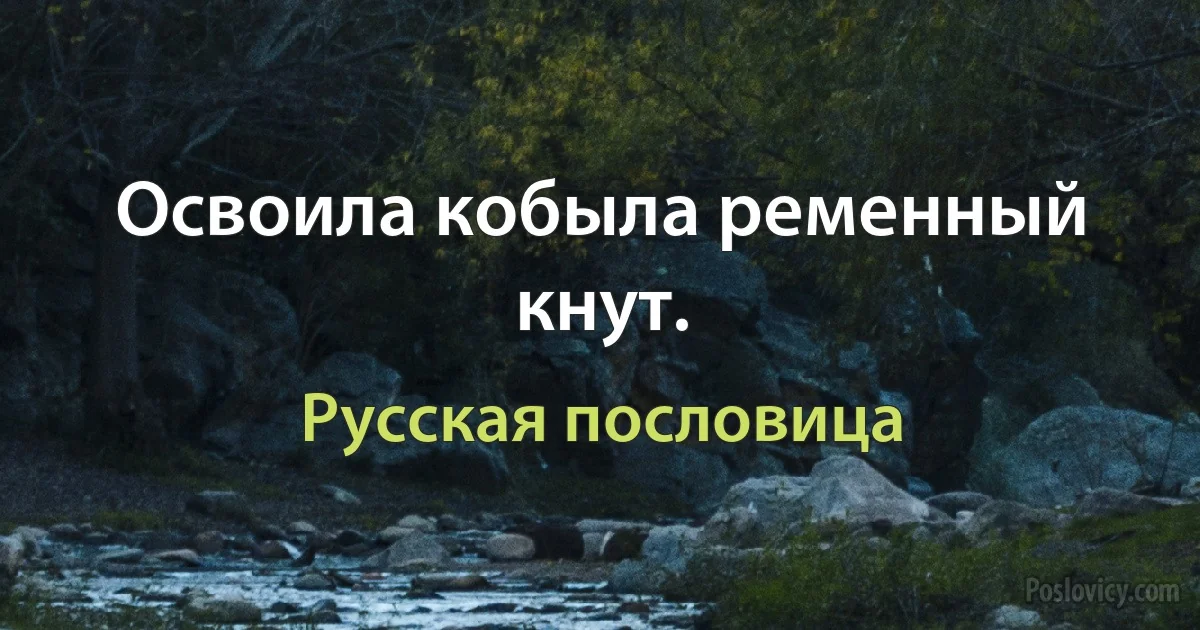 Освоила кобыла ременный кнут. (Русская пословица)