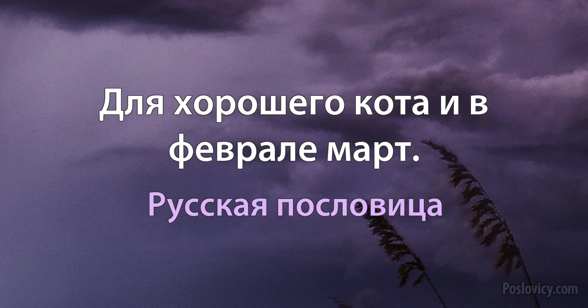 Для хорошего кота и в феврале март. (Русская пословица)