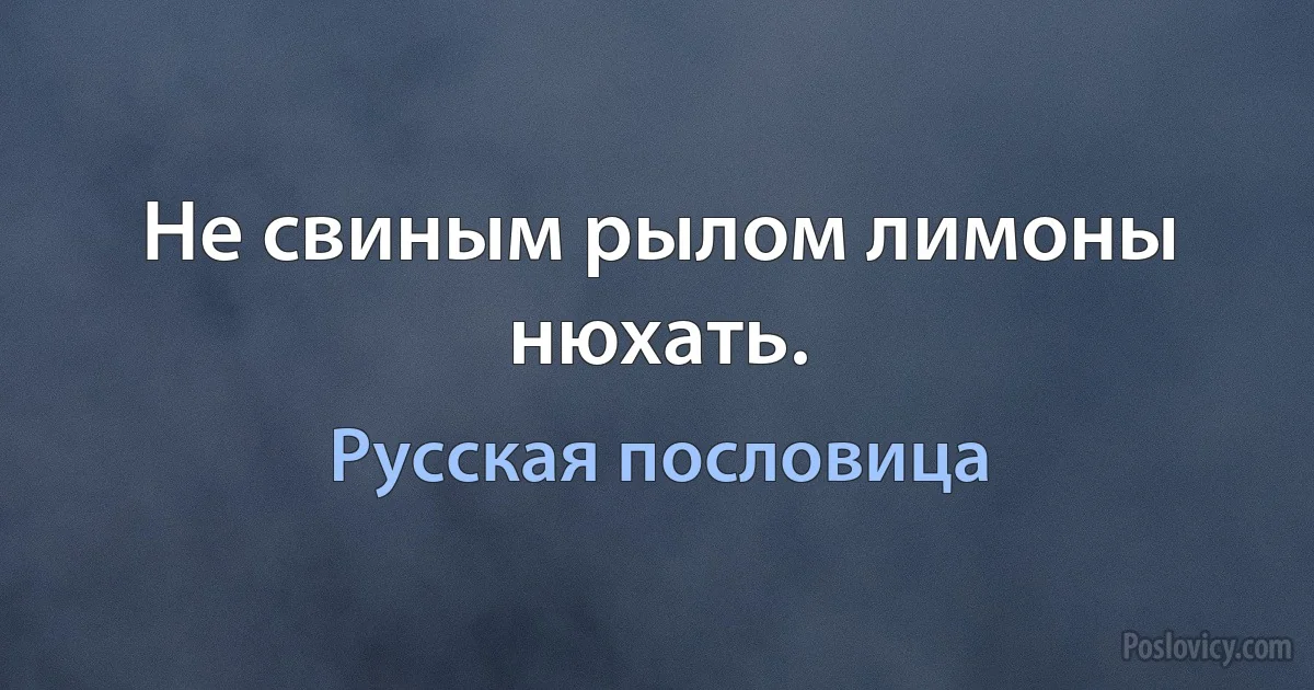 Не свиным рылом лимоны нюхать. (Русская пословица)