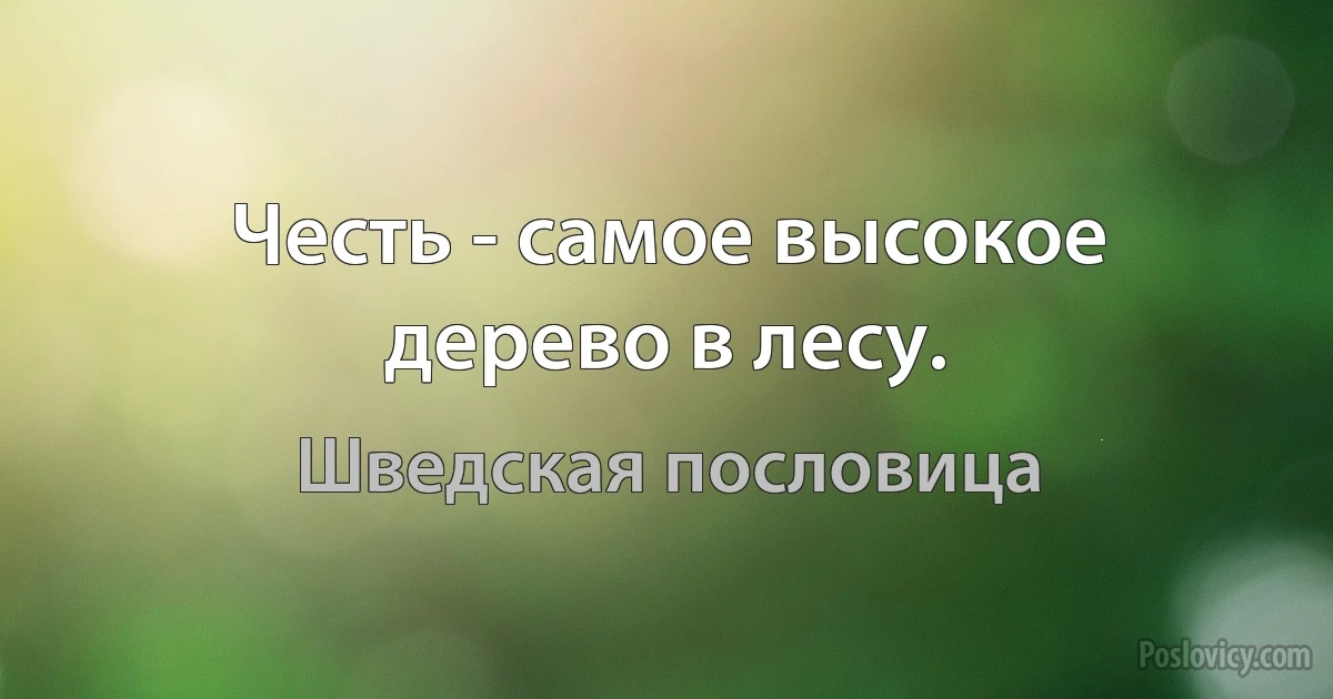 Честь - самое высокое дерево в лесу. (Шведская пословица)