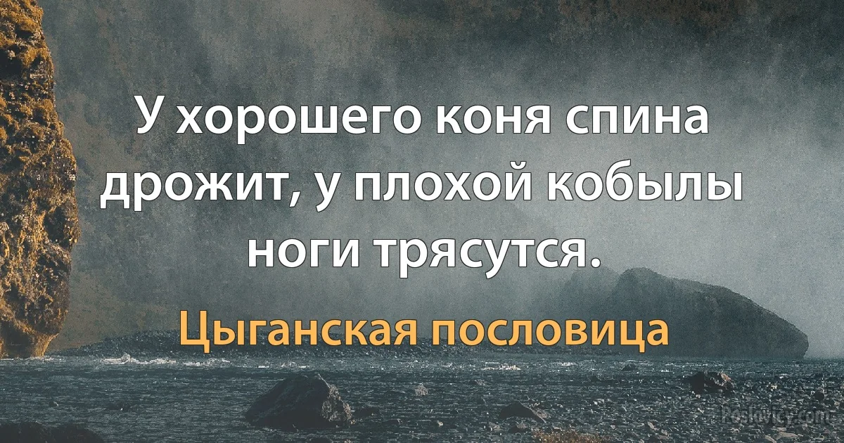 У хорошего коня спина дрожит, у плохой кобылы ноги трясутся. (Цыганская пословица)