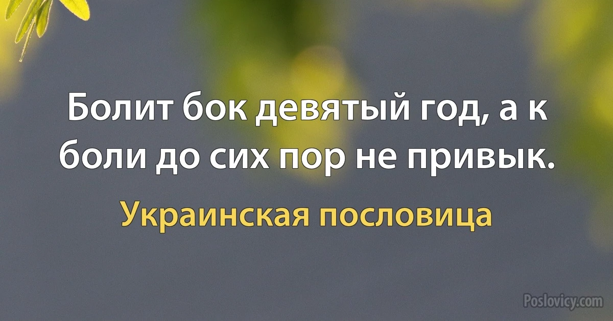 Болит бок девятый год, а к боли до сих пор не привык. (Украинская пословица)