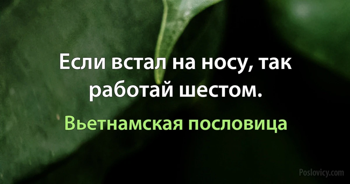 Если встал на носу, так работай шестом. (Вьетнамская пословица)